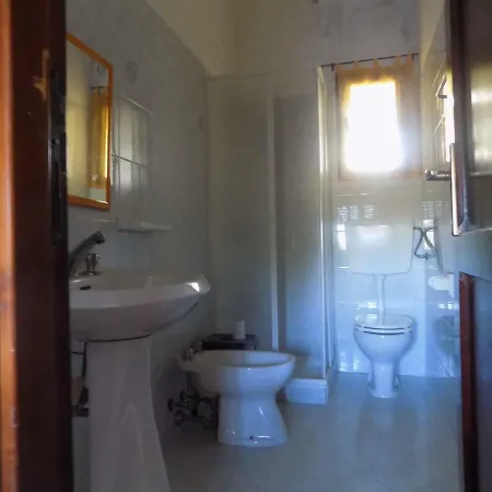 Alessio Daire Girasole