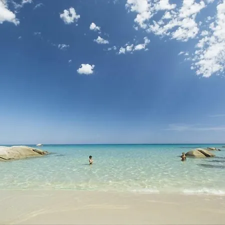 Alessio Daire Girasole